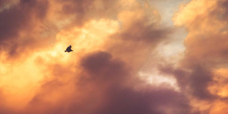 河北农村自建房指南：本地石材供应商如何提升庭院景观与外墙装饰品质