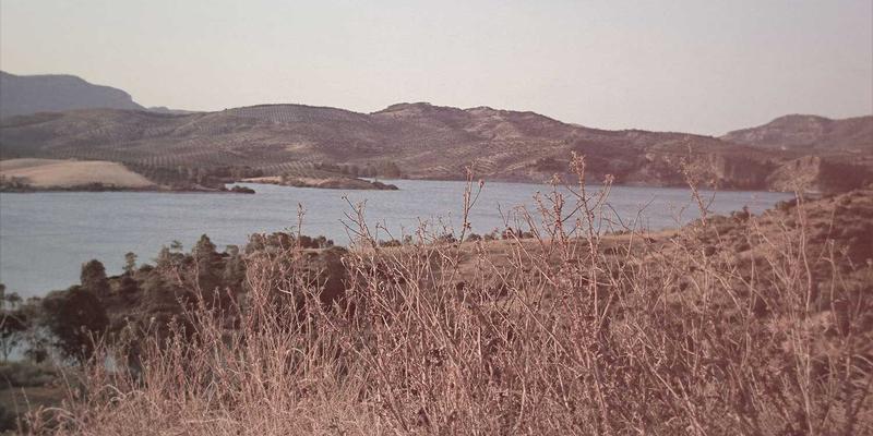 河北石材产业带集群效应深度解析：建筑材料供应商的竞争优势与协同发展路径