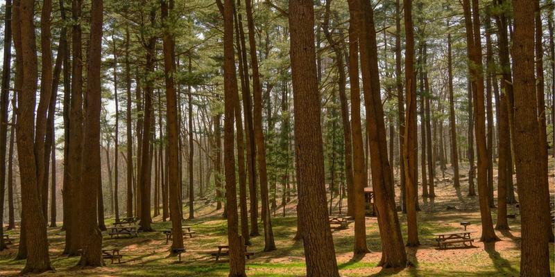 河北石材产业绿色矿山建设标准与可持续发展模式研究：花岗岩供应商的转型之路