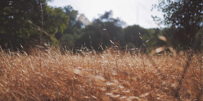 河北石材产业集群优势分析：从灵寿到阜平，探秘大理石供应商的区域协同发展