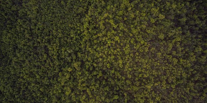 河北石材加工69：建筑材料产业升级中的人造石革命与供应商选择策略