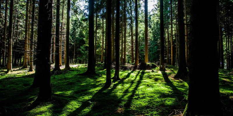 河北石材加工:中国北方建筑材料的坚实基石与创新力量