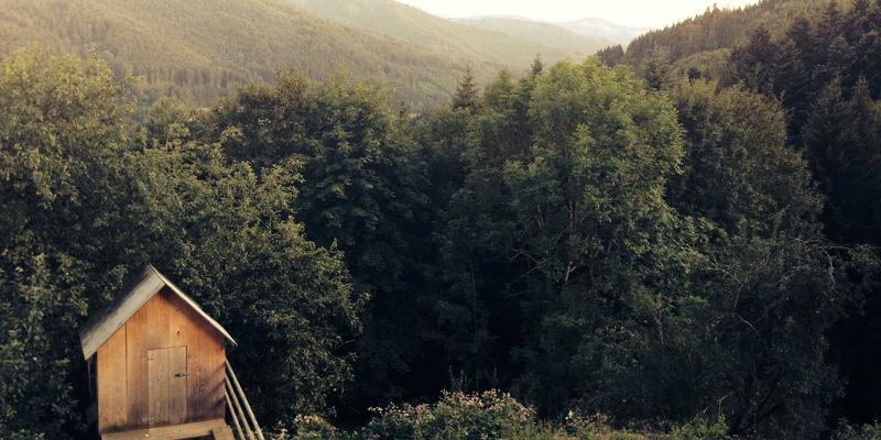 河北石材加工产业破局之路：借力跨境电商与国际认证开拓全球建筑材料市场