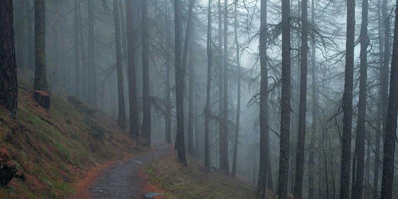 河北石材加工产业解析:花岗岩与人造石如何塑造现代建筑美学