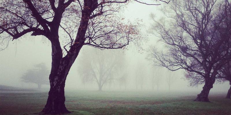 河北石材加工产业集群优势解析：从矿山到建筑的完整产业链如何重塑中国建筑石材市场