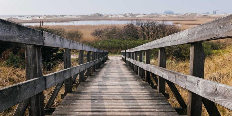 河北石材加工产业集群的物流优化策略：如何有效降低大理石、人造石等建筑材料的运输成本