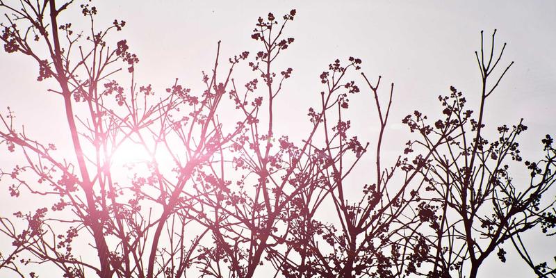 河北石材加工企业升级指南：如何选择高效数控金刚石串珠锯提升竞争力