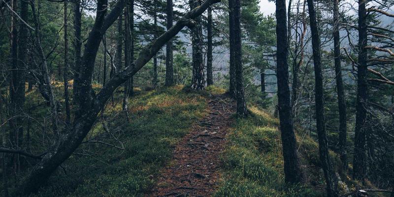 河北石材加工企业必读：环保新政下大理石、花岗岩、人造石废水处理与循环利用全攻略