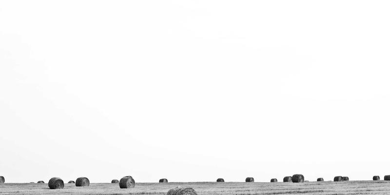 河北石材加工厂必读：如何甄选性价比高的花岗岩荒料，兼顾人造石与建筑石材需求