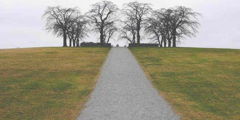 河北石材加工行业面临技能人才短缺：花岗岩与人造石产业如何破局？