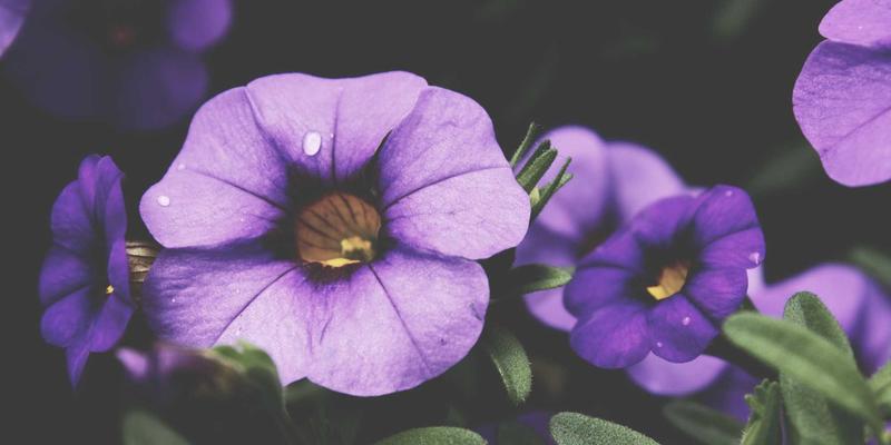 河北石材幕墙工程常见问题解析与花岗岩加工精度控制要点