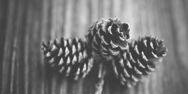 河北石材废料资源化利用新方向：人造石骨料与景观铺装材料生产