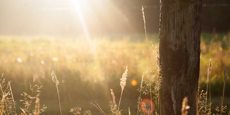 河北进口石材荒料加工现状与市场机遇：石材供应商如何抢占建筑材料新蓝海